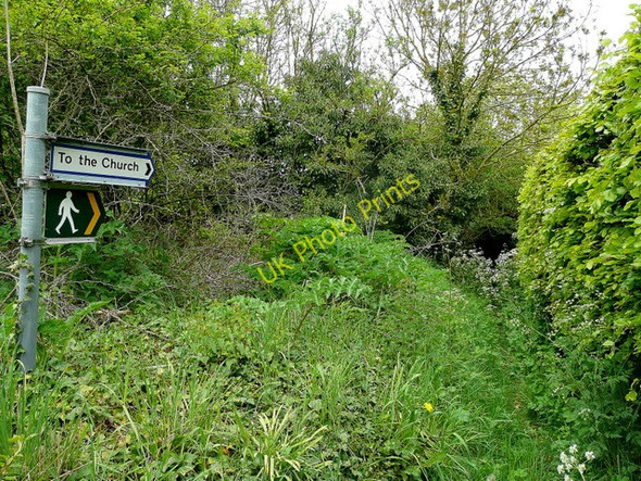 Photo 6"x4" Overgrown path Berwick Bassett c2010