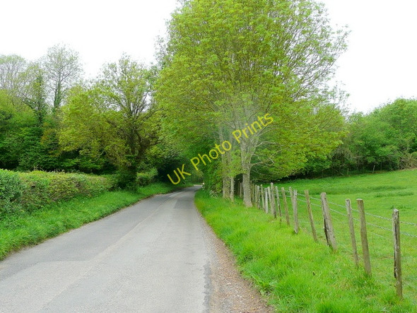 Photo 6"x4" Approaching Vitrell Gate Martin Drove End c2010
