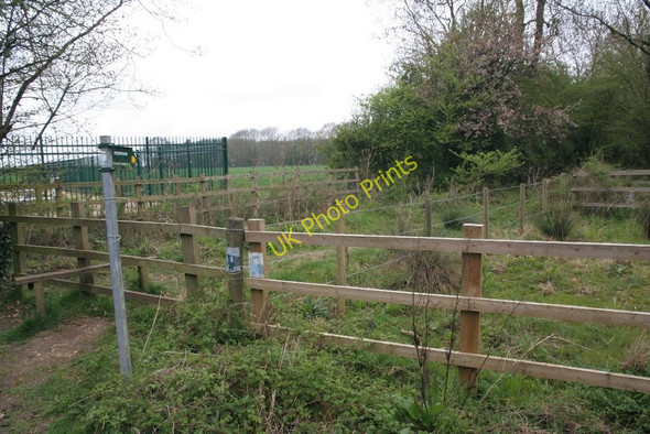 Photo 6"x4" Footpath to the common Moreton\/SP4101 c2010