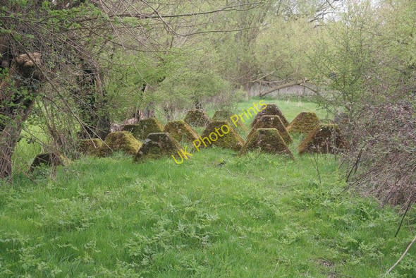 Photo 6"x4" Dragons teeth by the river Moreton\/SP4101 c2010