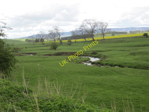 Photo 6"x4" Netherton Burn Netherton\/NT9807 c2010