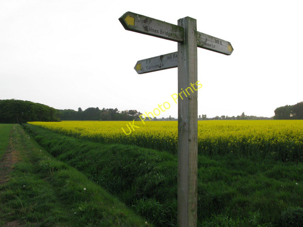 Photo 6"x4" Footpaths at Ince Blundell Carr Houses\/SD3203 c2010