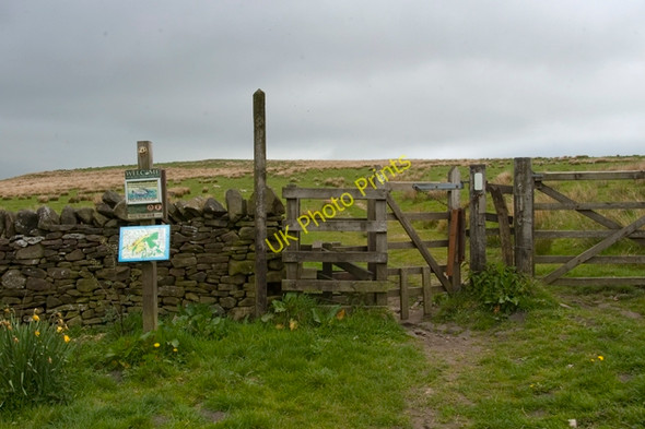 Photo 6"x4" Access gate to Longridge Fell and Spire Hill New Row\/SD6438 c2010