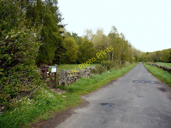 Photo 6"x4" Entrance to Beltingham Nature Reserve Bardon Mill c2010