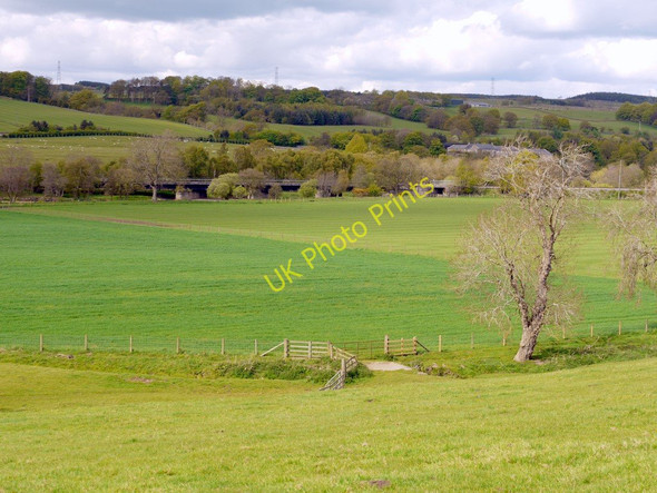 Photo 6"x4" Fields north-east of Beltingham Bardon Mill c2010