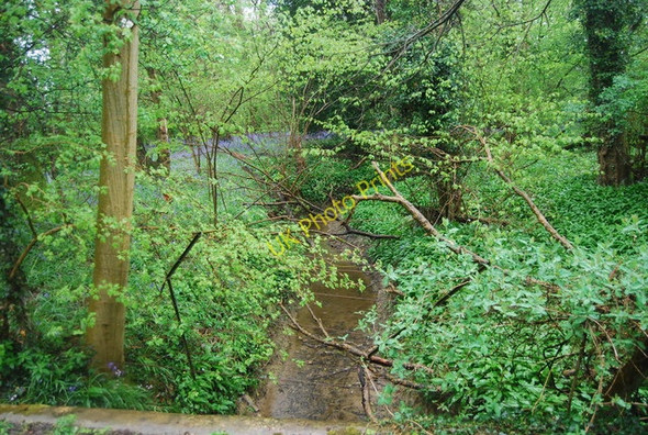 Photo 6"x4" Tributary of the River Arun by the Downs Link Park Street\/TQ1131 c2010