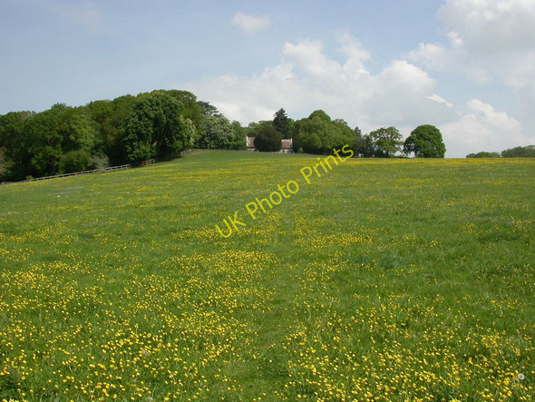 Photo 6"x4" Whitsbury, footpath Rockbourne c2010