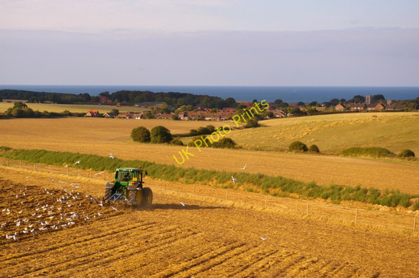 Photo 6"x4" Farmland near Kelling Heath, Norfolk Weybourne\/TG1142 c2009