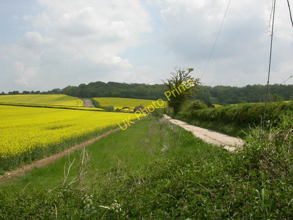 Photo 6"x4" Breamore, Down Farm Whitsbury c2010