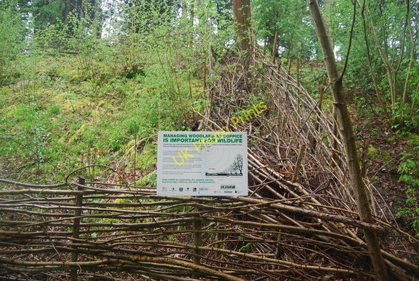 Photo 6"x4" Information board on Coppicing, Downs Link Park Street\/TQ1131 c2010