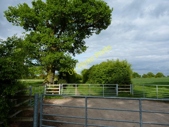 Photo 6"x4" Gates on the field track to Lower Dairy House Farm Albrighton\/SJ8104 c2010