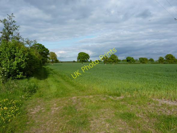 Photo 6"x4" Wheat field near Lower Dairy House Farm Albrighton\/SJ8104 c2010