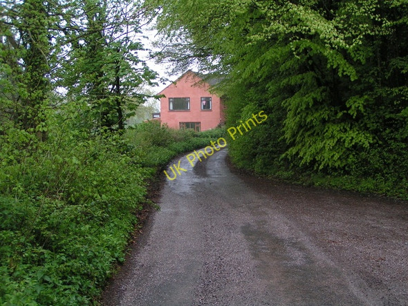 Photo 6"x4" Lane near Burnhill farm Greenham\/ST0720 c2010