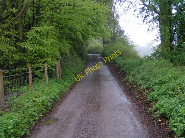 Photo 6"x4" Lane near Burnhill farm, looking south west Greenham\/ST0720 c2010