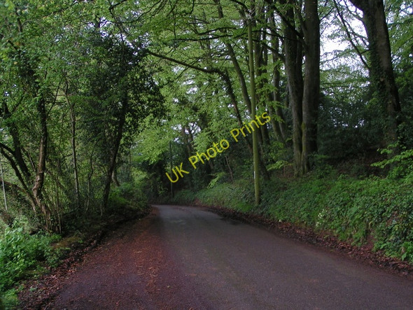 Photo 6"x4" Lane at Greenham Barton Greenham\/ST0720 c2010