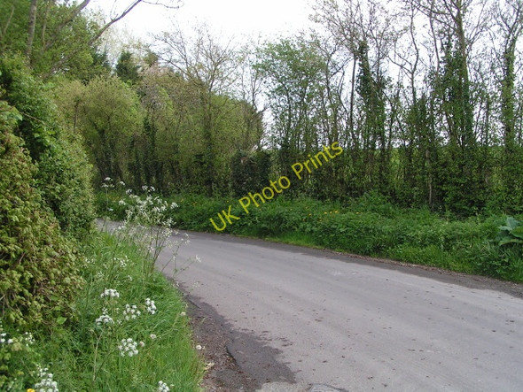 Photo 6"x4" Lane heading east, south of Fivehead Fivehead c2010