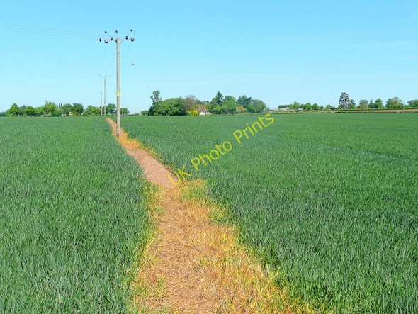 Photo 6"x4" Footpath to Bromsash Bromsash c2010