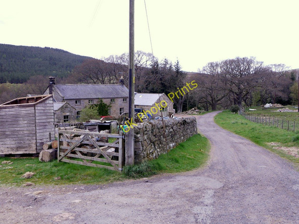 Photo 6"x4" Farm road west of Park House Low Alwinton c2010