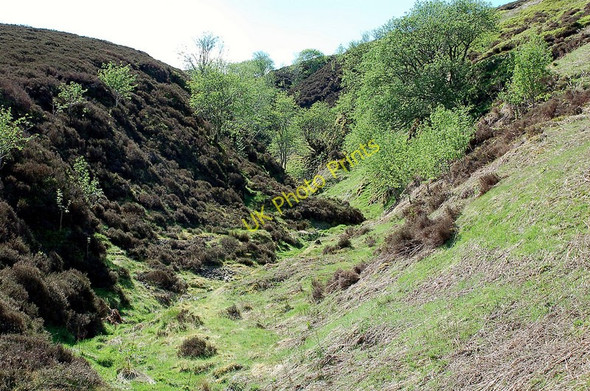 Photo 6"x4" Burntshiel Cleuch from below Middle Hill\/NT3346 c2010