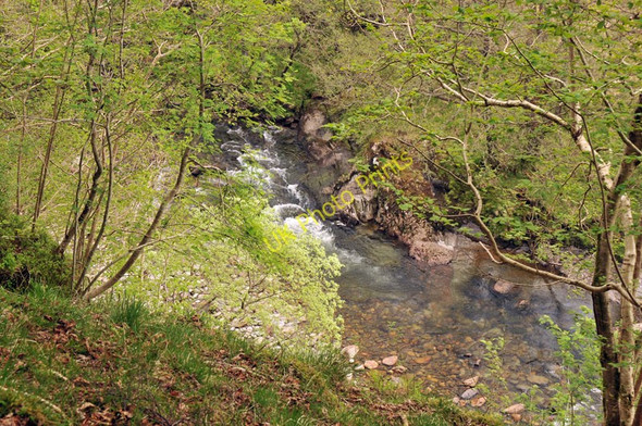 Photo 6"x4" Steep slope down to the River Roy Bohuntine c2010