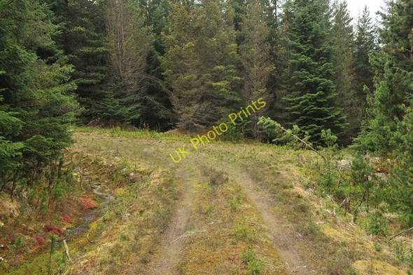 Photo 6"x4" End of the forest road in the forest near Inverlair Inverlair c2010