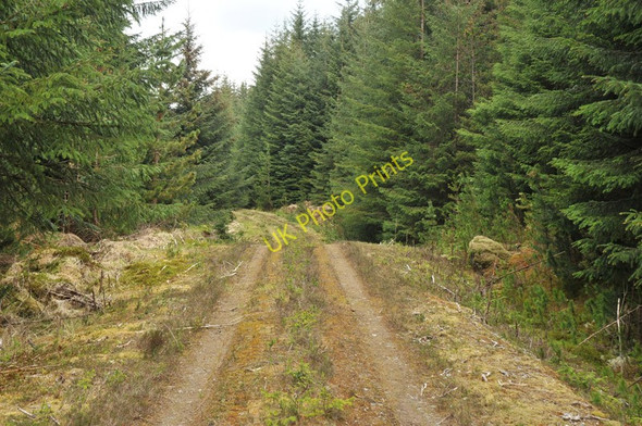 Photo 6"x4" Forest road near Inverlair Inverlair c2010
