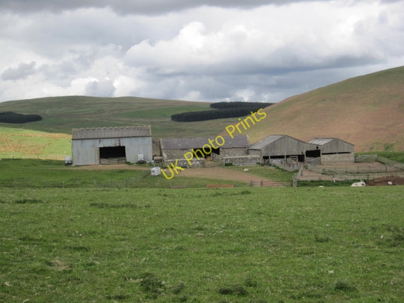 Photo 6"x4" Old Hazeltonrig Alnham c2010
