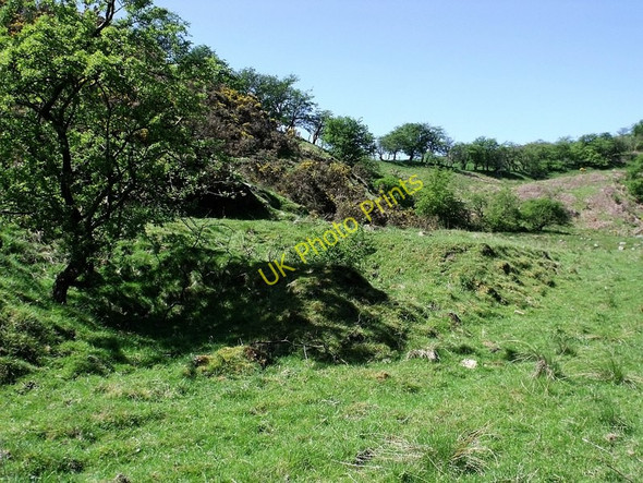 Photo 6"x4" Limekilns remains Queenzieburn c2010