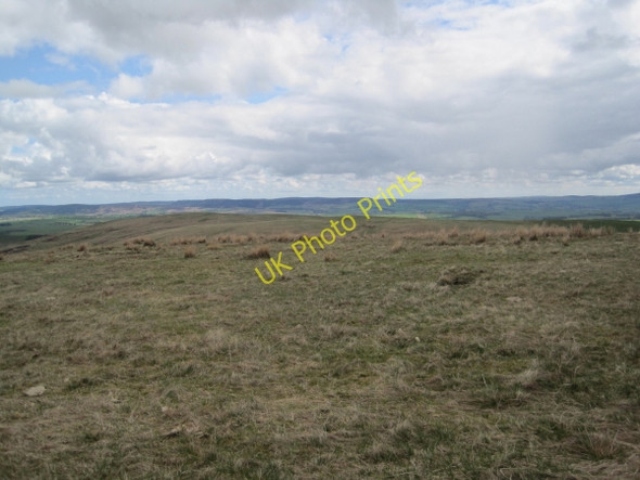 Photo 6"x4" Sing Moor Netherton\/NT9807 c2010