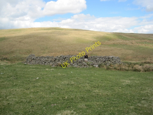 Photo 6"x4" Sheepfold near Bleak Law Clennell c2010