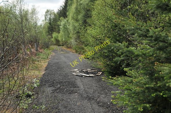 Photo 6"x4" The old A86 near Loch Laggan, now disused Torgulbin c2010