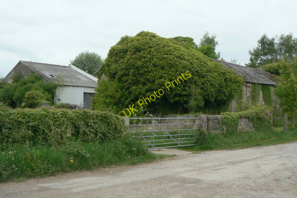 Photo 6"x4" Overgrown barn Stoneyford\/SK4449 c2010