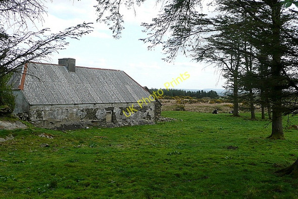 Photo 6"x4" Pasture at Burren Ballynacally c2010