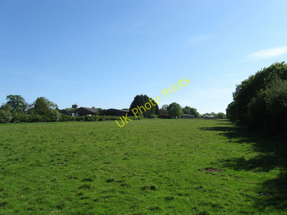 Photo 6"x4" The Croft Ripe c2010