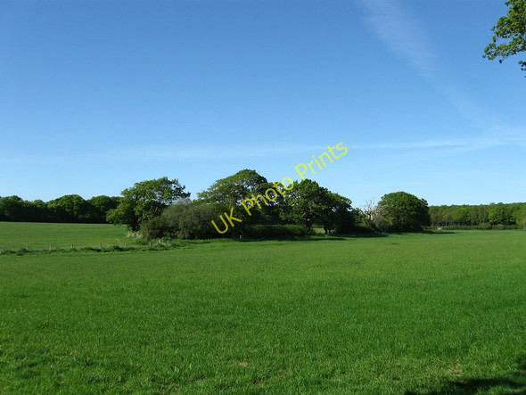 Photo 6"x4" Pit Field Ripe c2010
