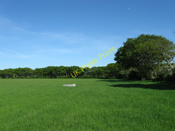 Photo 6"x4" The Two Fields Ripe c2010