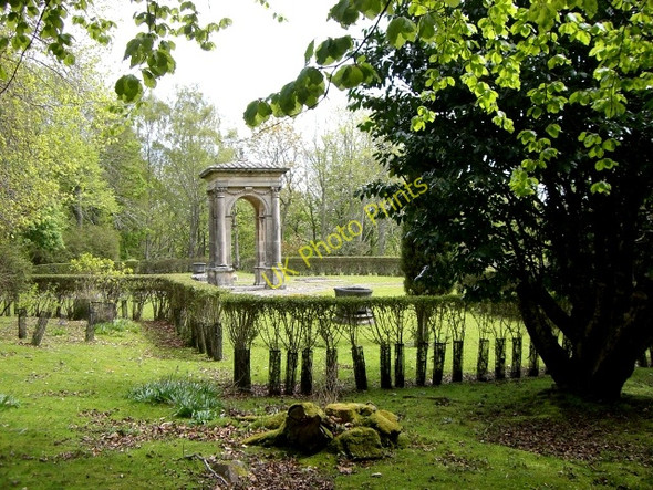 Photo 6"x4" Burial ground in Dunrobin Woods Uppat c2010