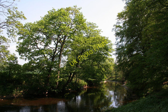 Photo 6"x4" River Nidd Birstwith c2010