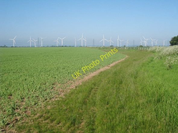 Photo 6"x4" Crop Fields on the Romney Marshes Brookland\/TQ9825 c2010