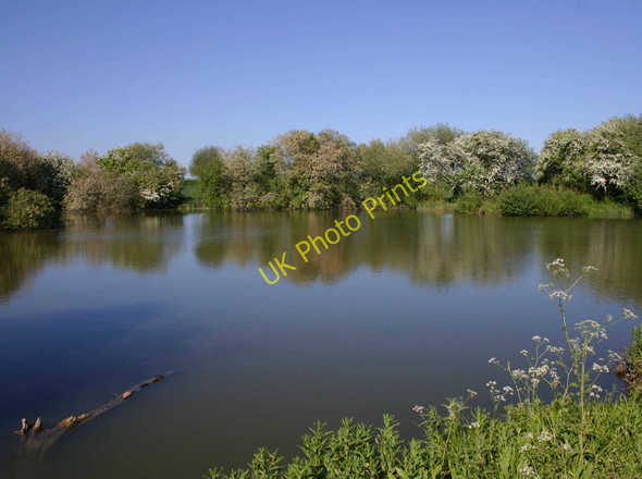 Photo 6"x4" Pond by disused tramway Armscote c2010