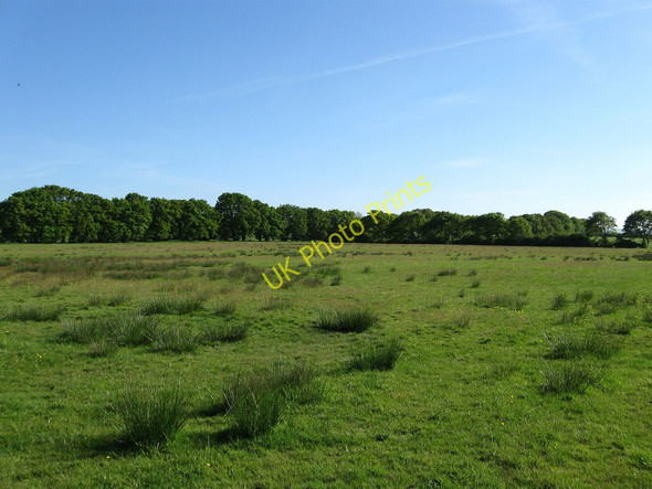 Photo 6"x4" The Meadow Broomham\/TQ5212 c2010
