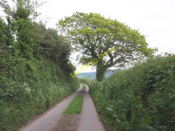 Photo 6"x4" Country Lane, near Idestone Cross Dunchideock c2010