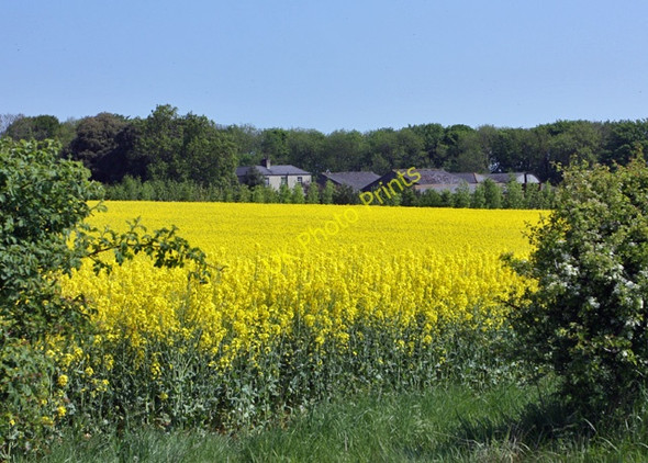 Photo 6"x4" Across the field to Sledmere Grange Garton-on-the-Wolds c2010