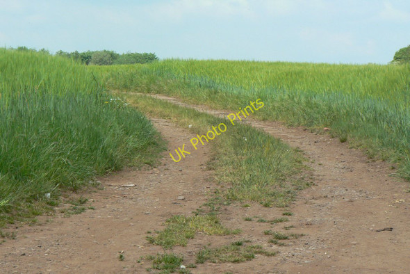 Photo 6"x4" Beer to be Nuthall c2010