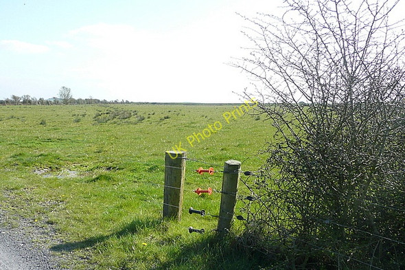 Photo 6"x4" Pasture at Ing Newmarket on Fergus c2010