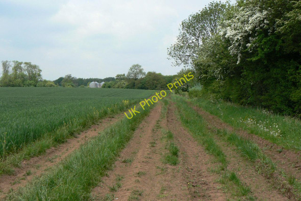 Photo 6"x4" Track near Starthwood Farm Hucknall c2010