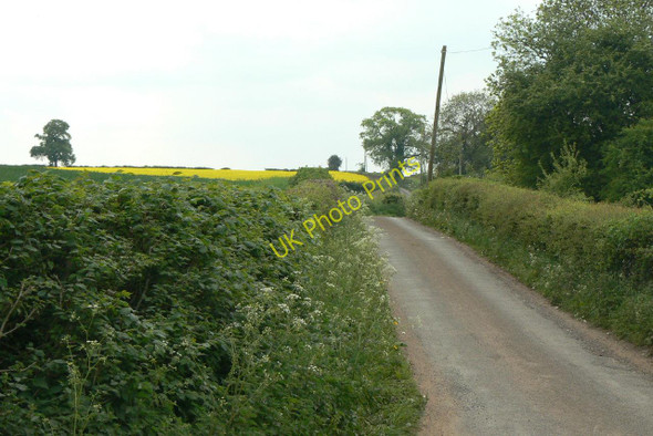 Photo 6"x4" Narrow Lane Greasley\/SK4947 c2010