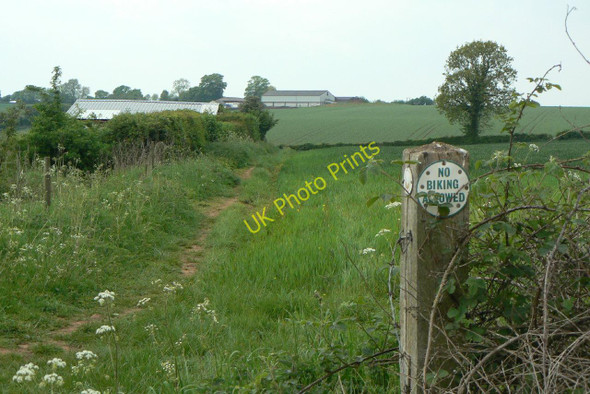 Photo 6"x4" Footpath to Greasley Greasley\/SK4947 c2010