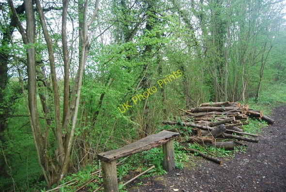 Photo 6"x4" Bench by the Downs Link Cranleigh c2010
