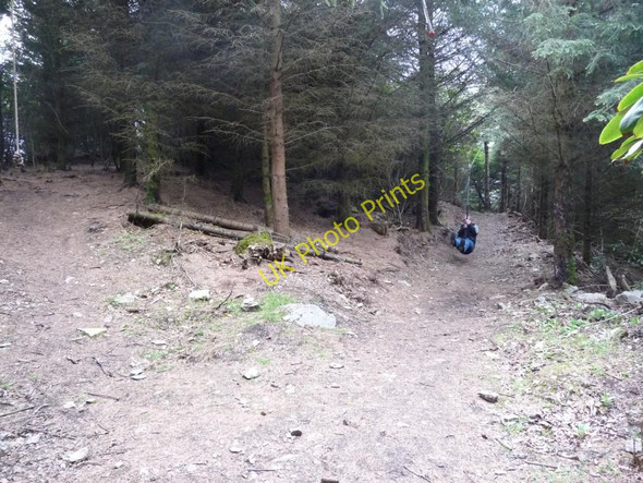 Photo 6"x4" Zip wire at Boncyn Fort, Caerau Uchaf Sarnau\/SH9739 c2010